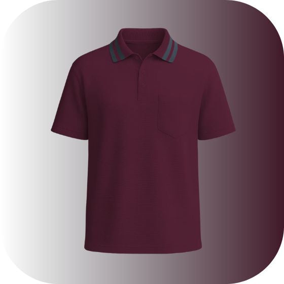 Classic Fit Striped Collar Polo for Men | Golf & Smart Casual Wear